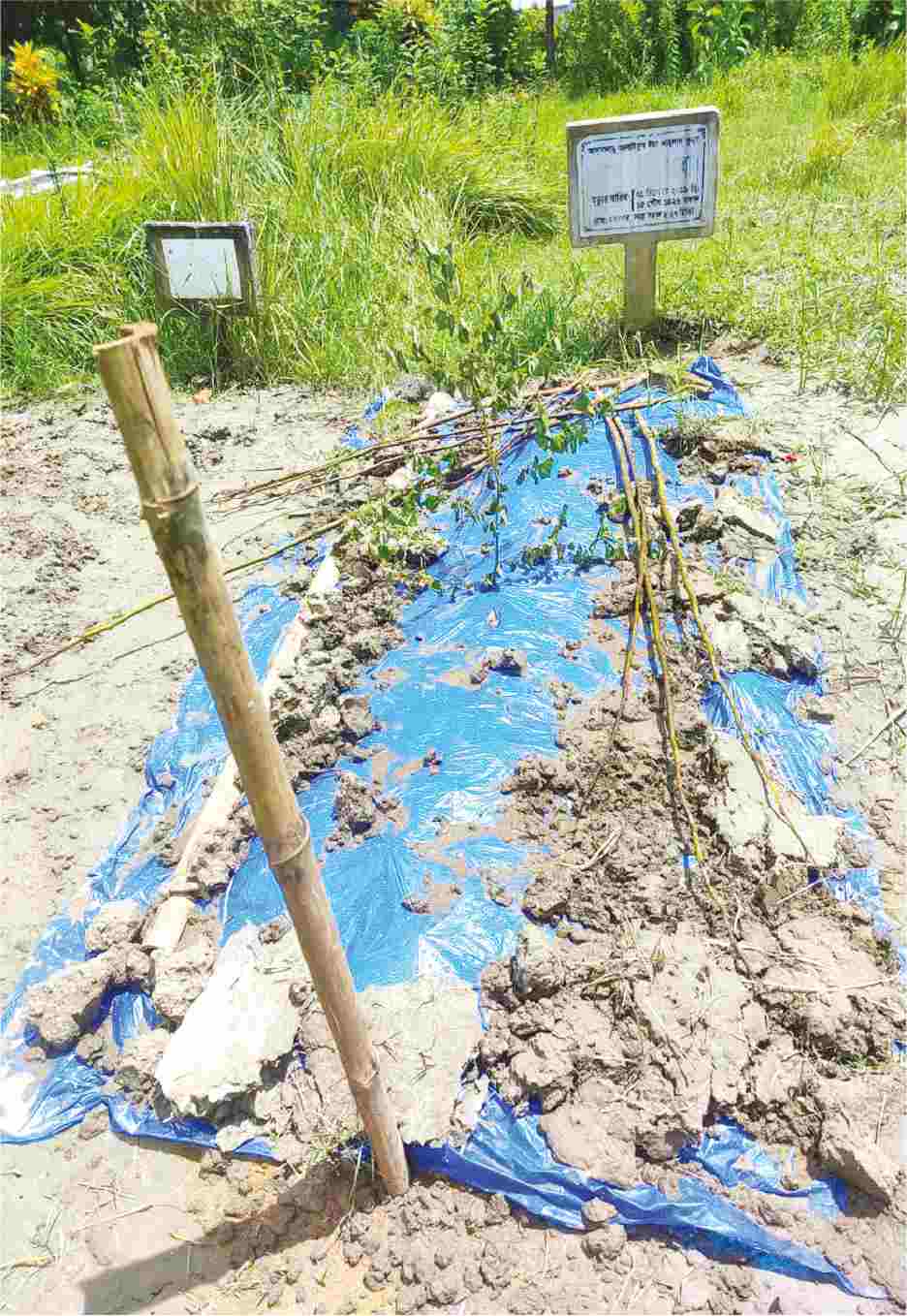 Image of দীন ইসলাম বেপারী